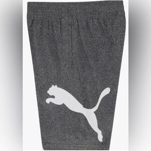 Boys Puma Shorts Youth Athletic Sports Core Essential Training Active Wear L